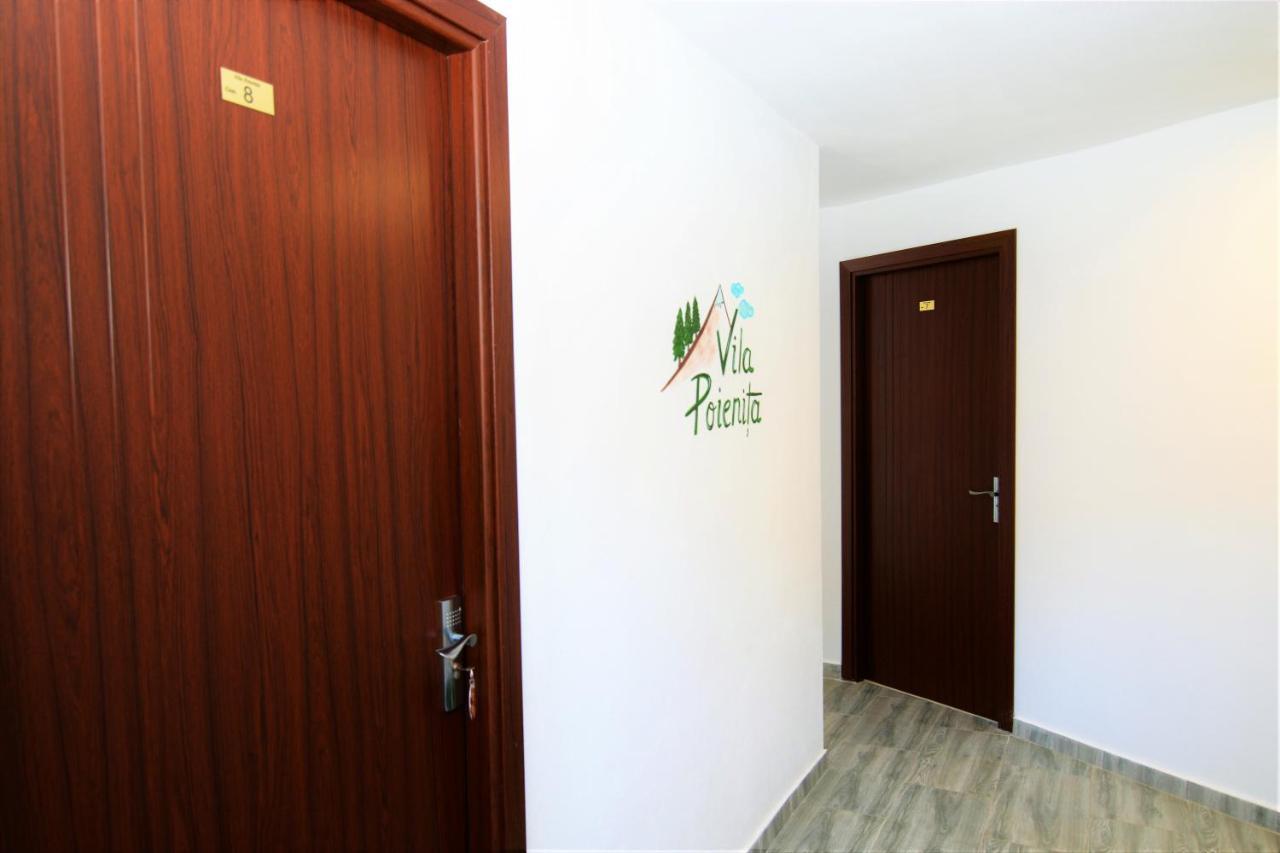 Vila Poienita Caciulata Călimăneşti Exteriér fotografie