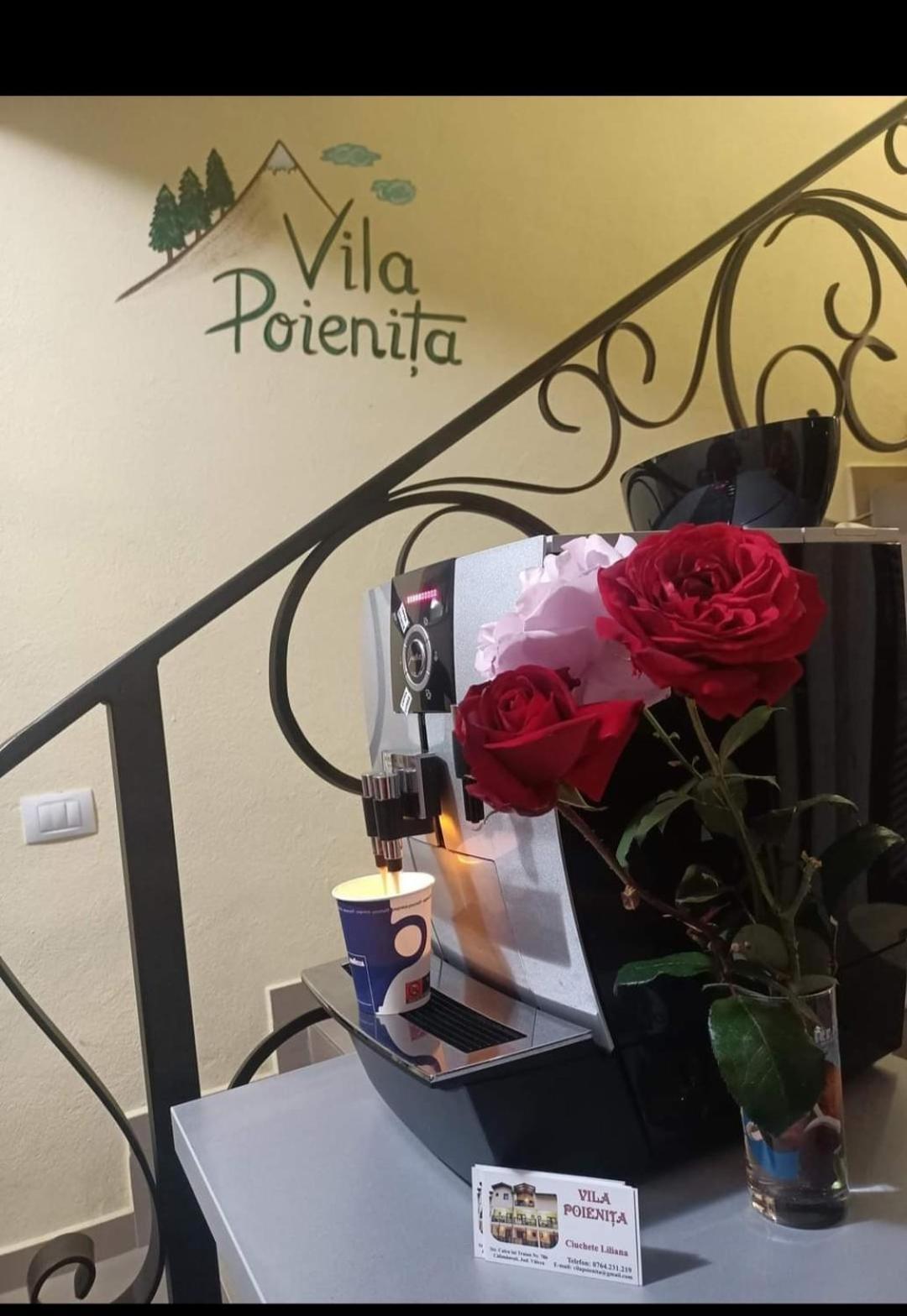 Vila Poienita Caciulata Călimăneşti Exteriér fotografie